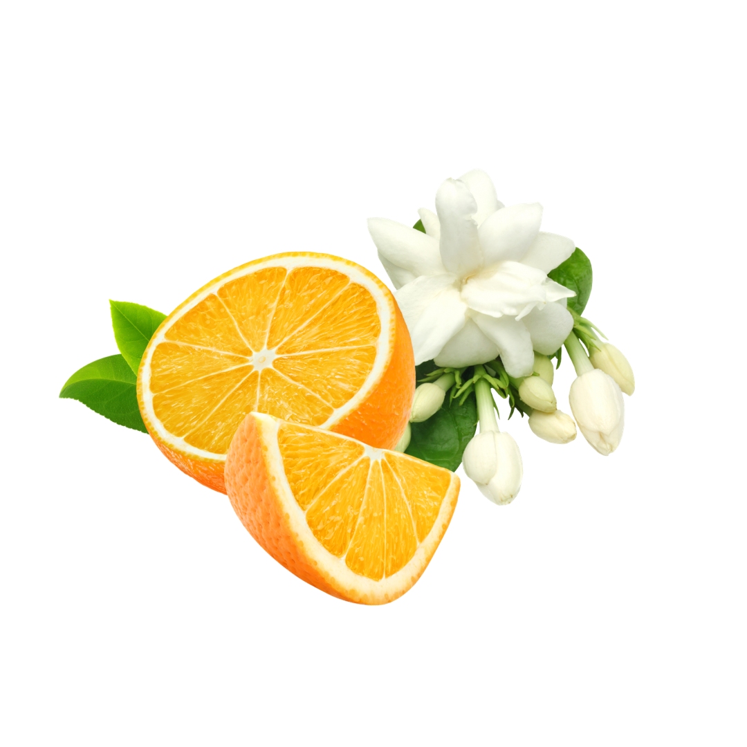 Secret Temptation Ingredients 17
