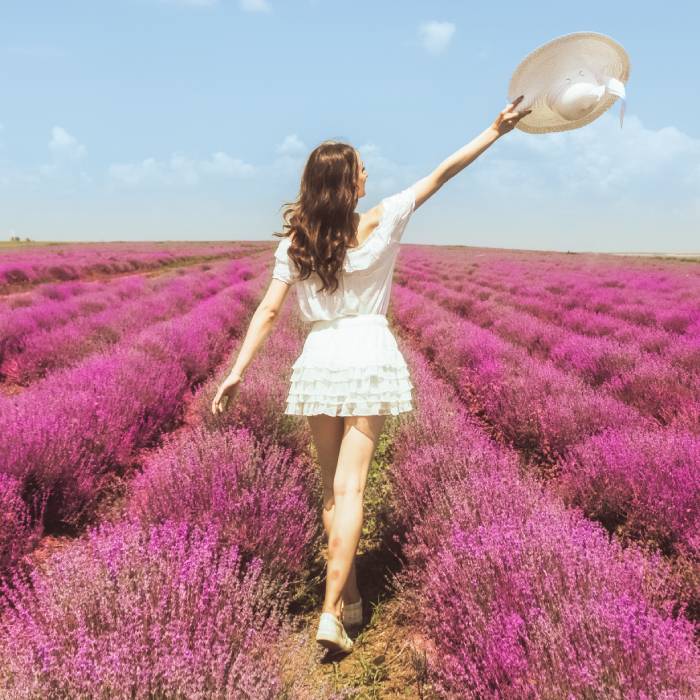 A Perfume for Every Mood, A Destination for Every Dream